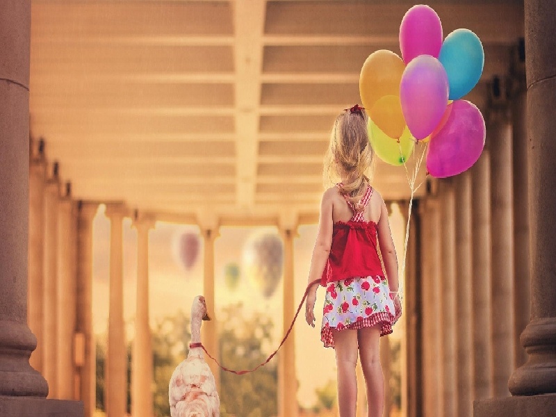 沈阳最靠谱的代生,代生咨询：在沈阳公立医院可